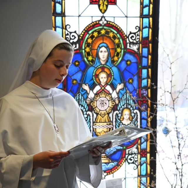 Today our novitiate presented the first day of the Jesse Tree: God created the world out of love (Genesis 1).

#catholic #catholicchurch #catholiclife #catholicism #vocations #religious #religiouslife #religioussisters #DSMME #DominicanSistersofMaryMotheroftheEucharist #advent #winter